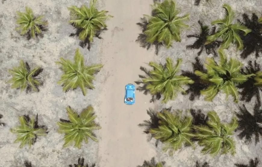 Passeio de Buggy Ponta a Ponta | Com duração de 6hs